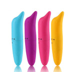 Dolphin Vibrator