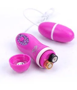 egg vibration sex toy