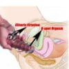 sex toy finger sleeve